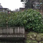 3 Berkeley - 1 Bedroom Apartment, With Laundry