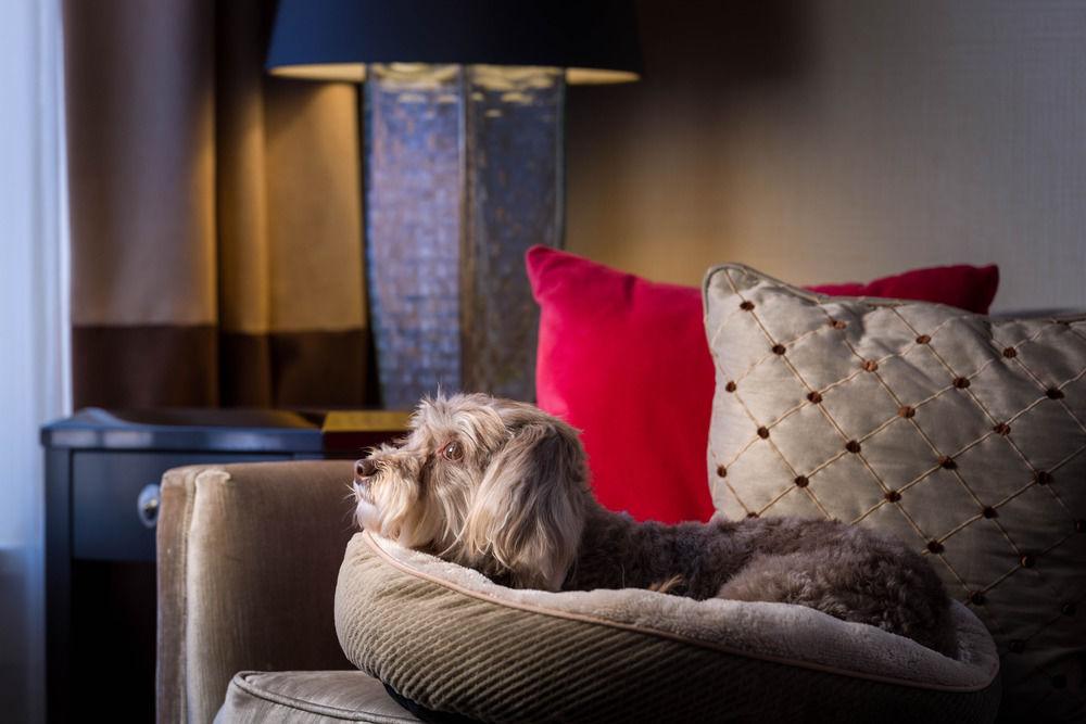 Hotel Shattuck Plaza 4*