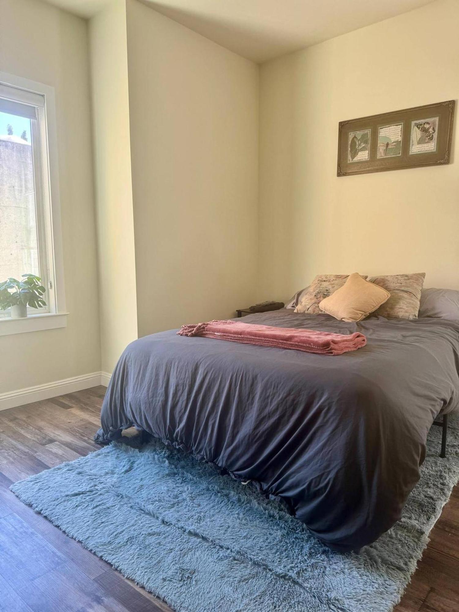 Apartment Amazing, Sunny, And Spacious! Steps To Campus! *