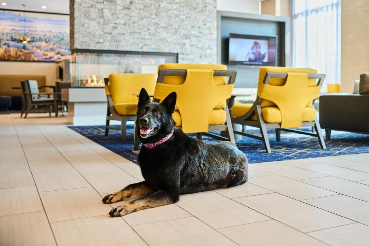 By Marriott 4* Berkeley